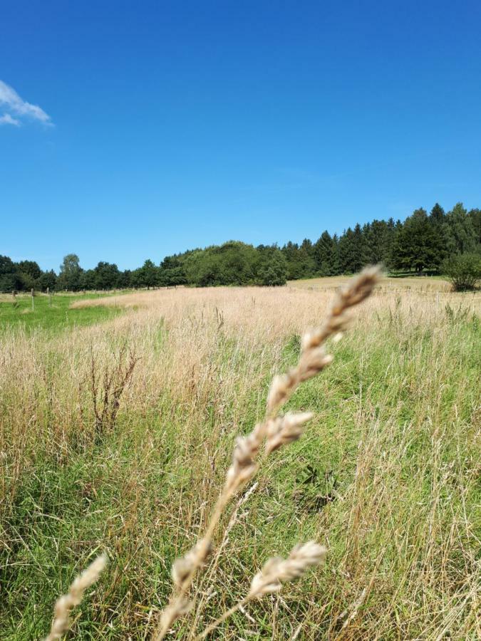 Ferienwohnung Weitblick Wolfshagen  Exterior foto