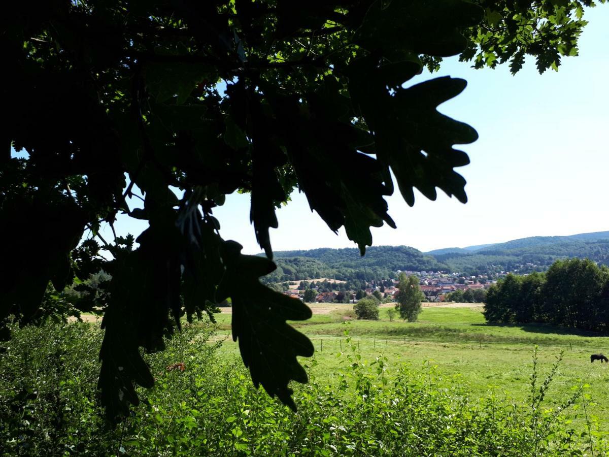 Ferienwohnung Weitblick Wolfshagen  Exterior foto