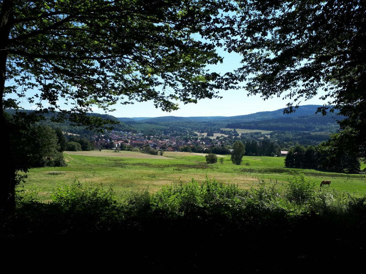 Ferienwohnung Weitblick Wolfshagen  Exterior foto