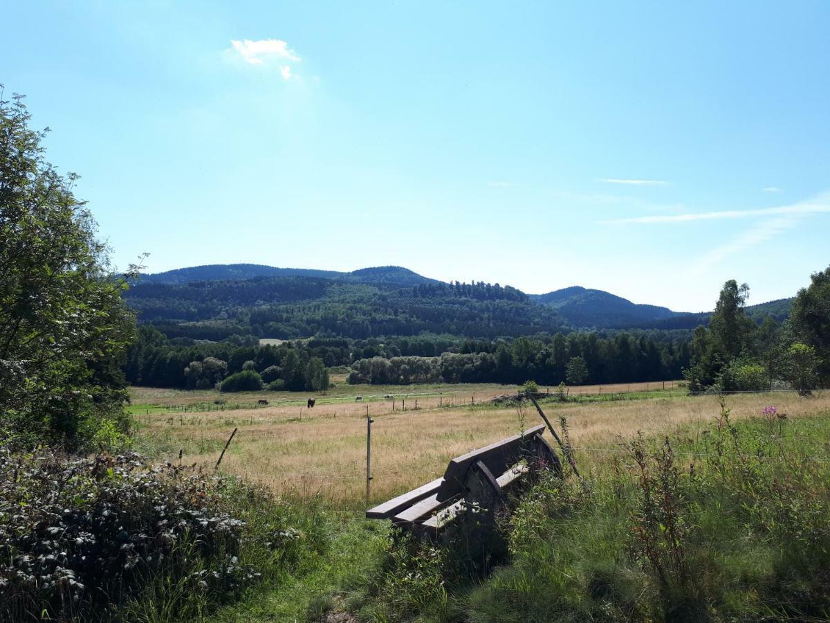 Ferienwohnung Weitblick Wolfshagen  Exterior foto