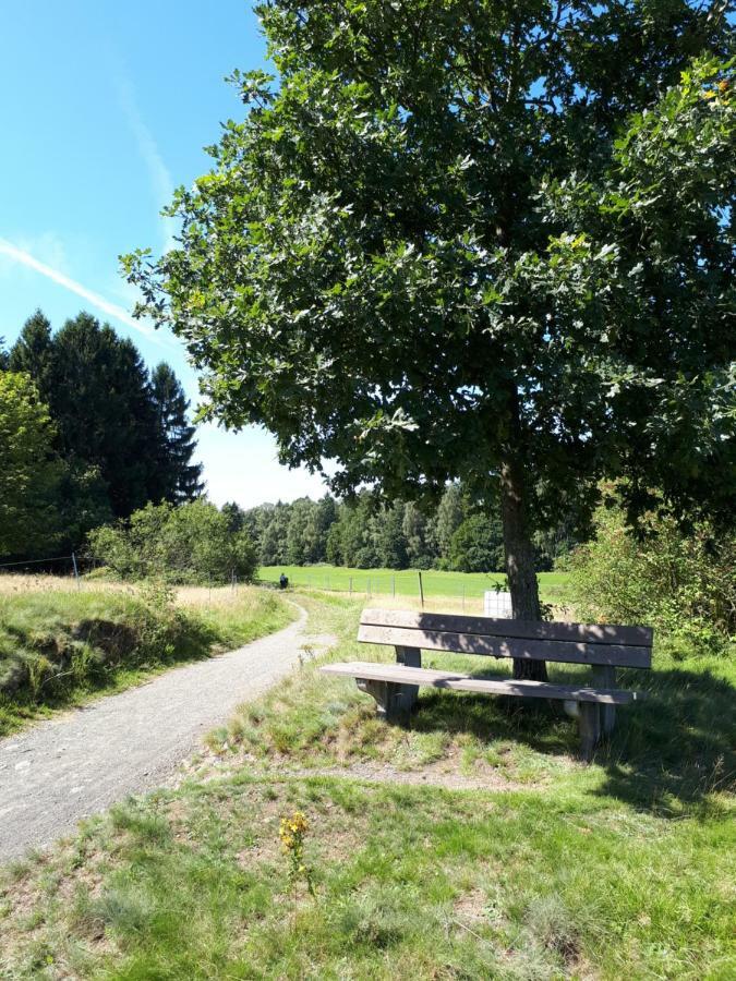 Ferienwohnung Weitblick Wolfshagen  Exterior foto