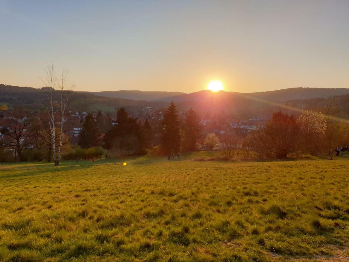 Ferienwohnung Weitblick Wolfshagen  Exterior foto